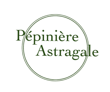Pépinière Astragale